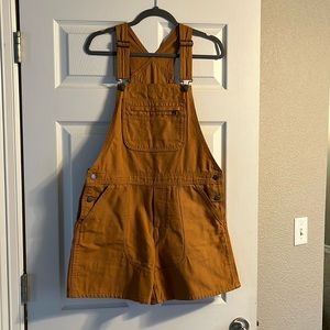 Patagonia stand up overalls